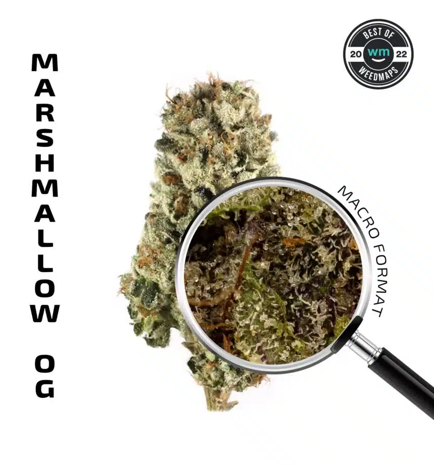 Marshmellow OG