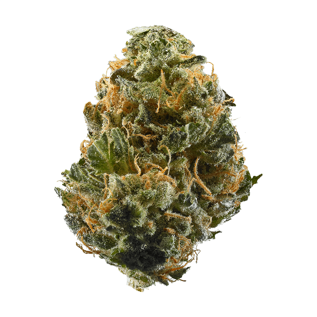 freezeland strain