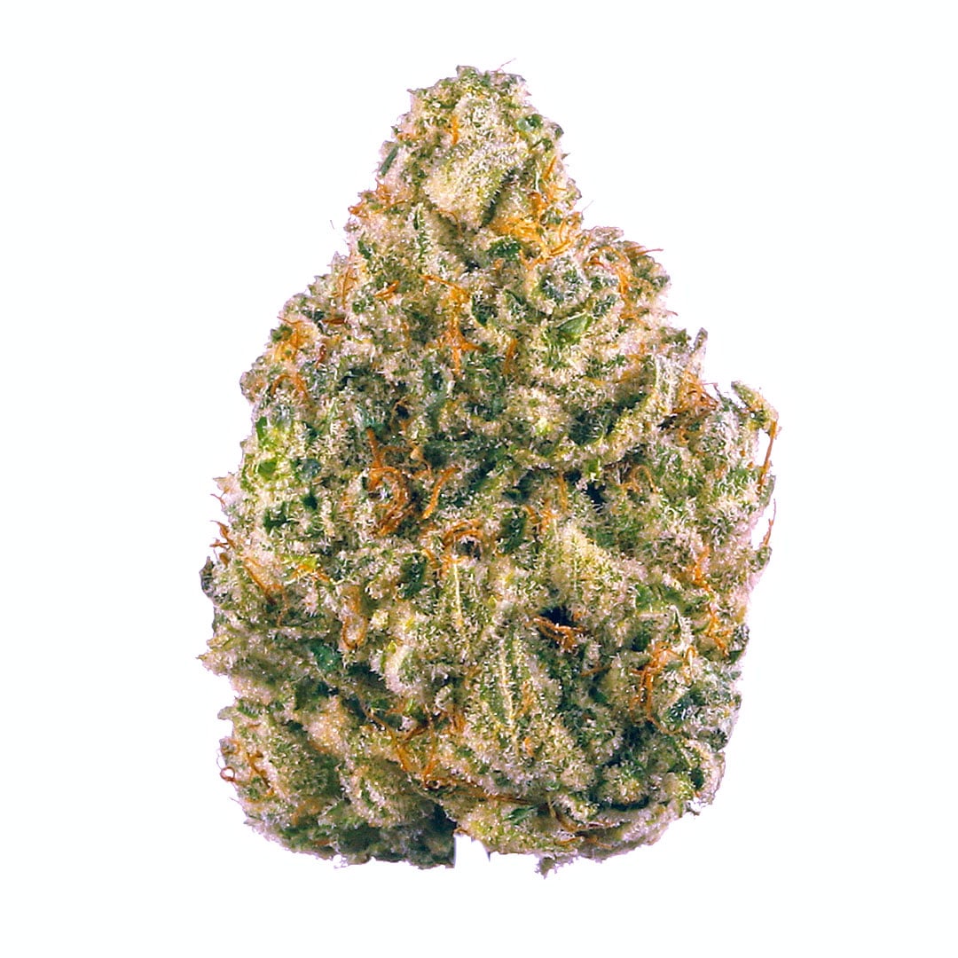 zuquiya strain