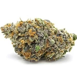 gelato