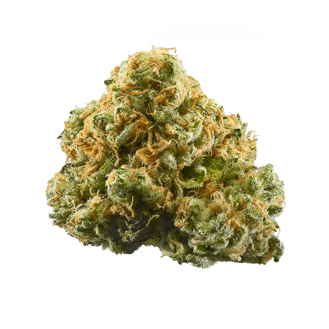 crocodile tears og