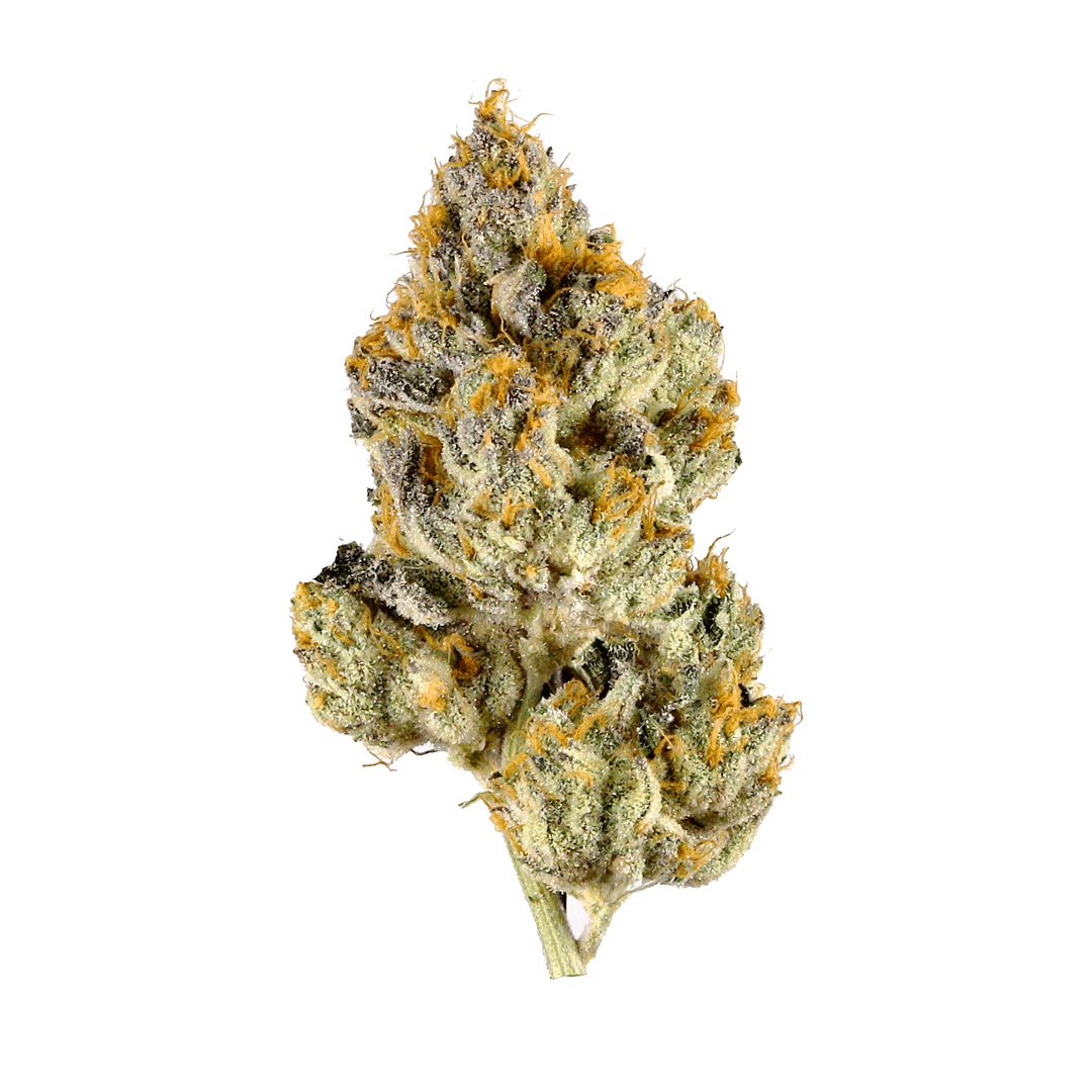 lemon cherry gelato